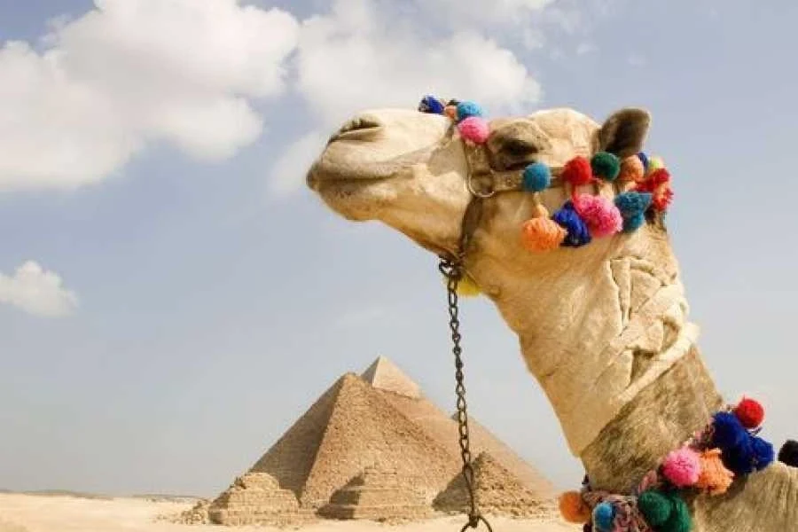 13 Tage Ägypten-Urlaub