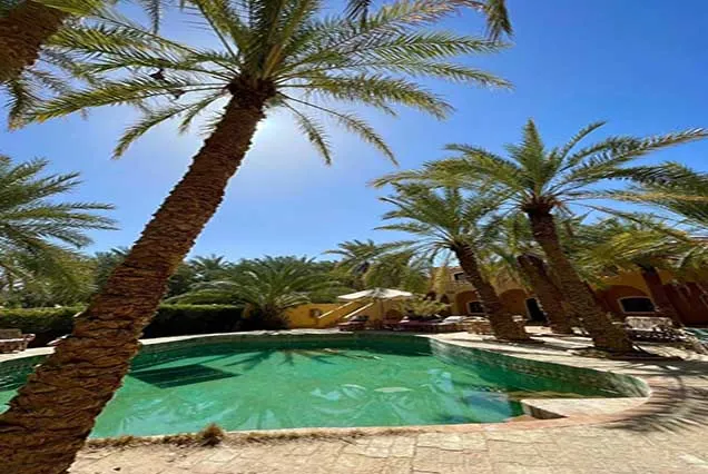 4 Tage Siwa-Oase mit Festungen, Salzseen und Wüstensafari