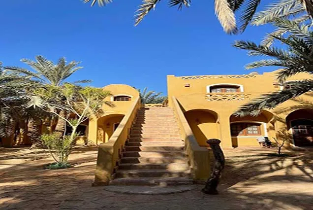 4 Tage Siwa-Oase mit Festungen, Salzseen und Wüstensafari