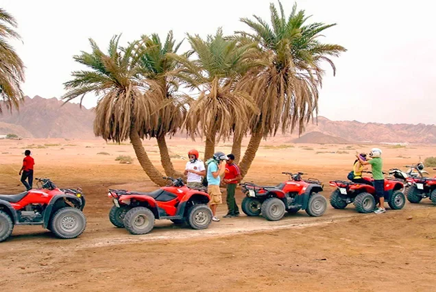 Exklusive Quad- & Wüstensafari in Sharm el-Sheikh
