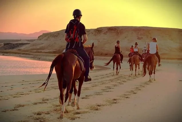 Reitausflug in Dahab – Strand, Wüste oder Blue Hole