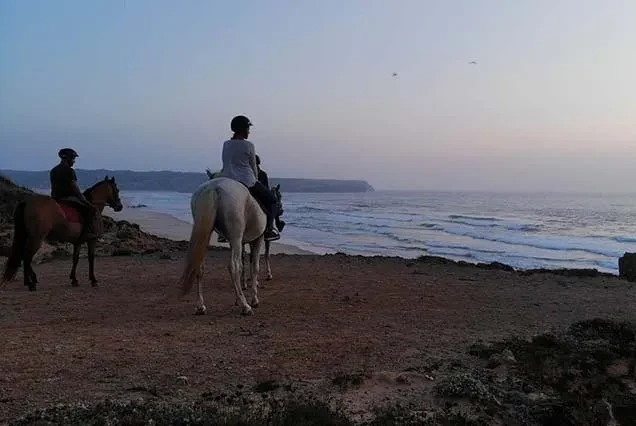 Reitausflug in Dahab – Strand, Wüste oder Blue Hole
