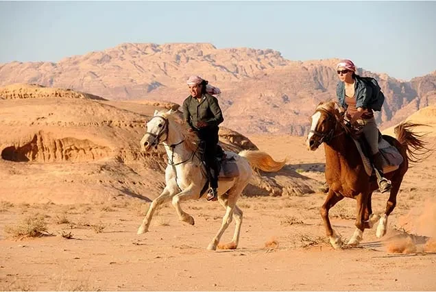 Reitausflug in Dahab – Strand, Wüste oder Blue Hole