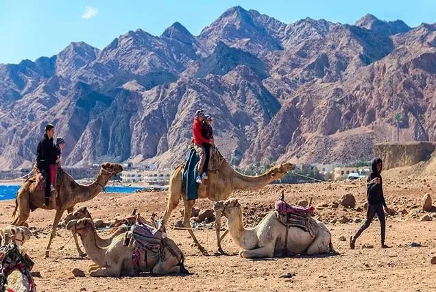 Reitausflug in Dahab – Strand, Wüste oder Blue Hole