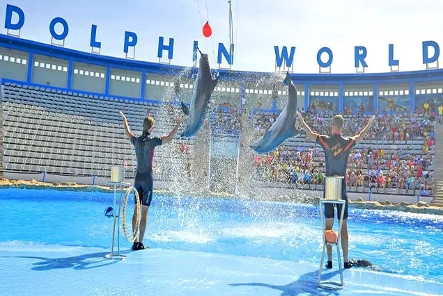 Delfin-Tour ab Hurghada – Schnorcheln am Dolphin House