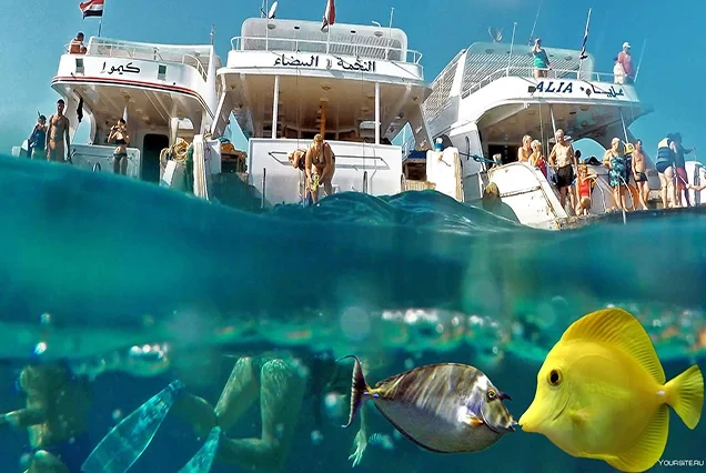 Privater Bootsausflug zu den Hamata-Inseln ab Marsa Alam mit Schnorcheln