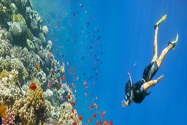 Privater Bootsausflug zu den Hamata-Inseln ab Marsa Alam mit Schnorcheln