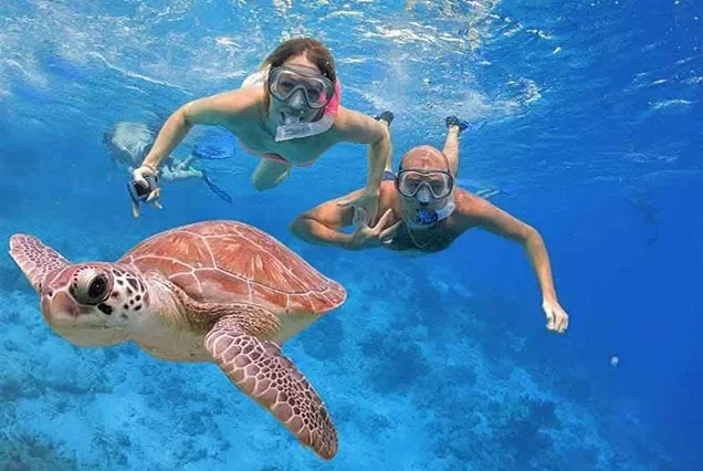Privater Bootsausflug zu den Hamata-Inseln ab Marsa Alam mit Schnorcheln
