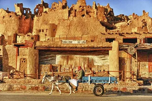 10 Tage Oasenreise: Kairo, Alexandria, El Alamein & Siwa