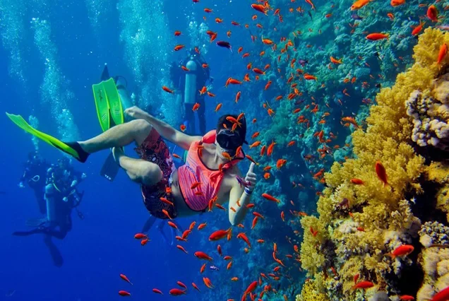 Exklusiver Tauchausflug in Marsa Alam