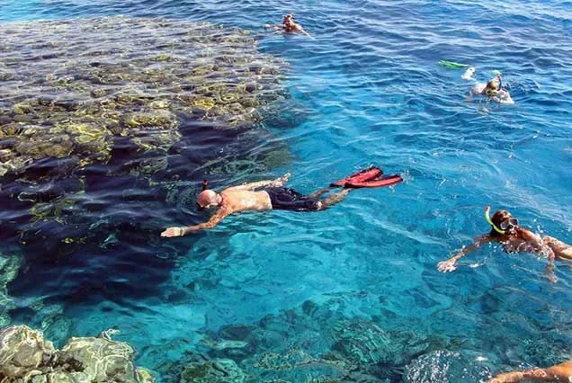Exklusiver Schnorchelausflug zur Insel Tiran ab Sharm el-Sheikh