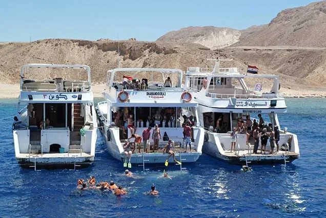 Exklusiver Schnorchelausflug zur Insel Tiran ab Sharm el-Sheikh