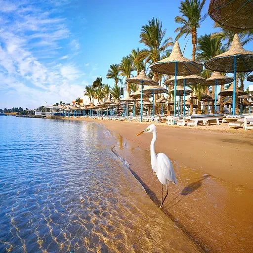 12 Tage Osterurlaub in Ägypten – Kairo, Nilkreuzfahrt & Hurghada