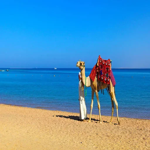 3 Wochen Ägypten Rundreise – 21 Tage Pharaonen, Rotes Meer & Sinai