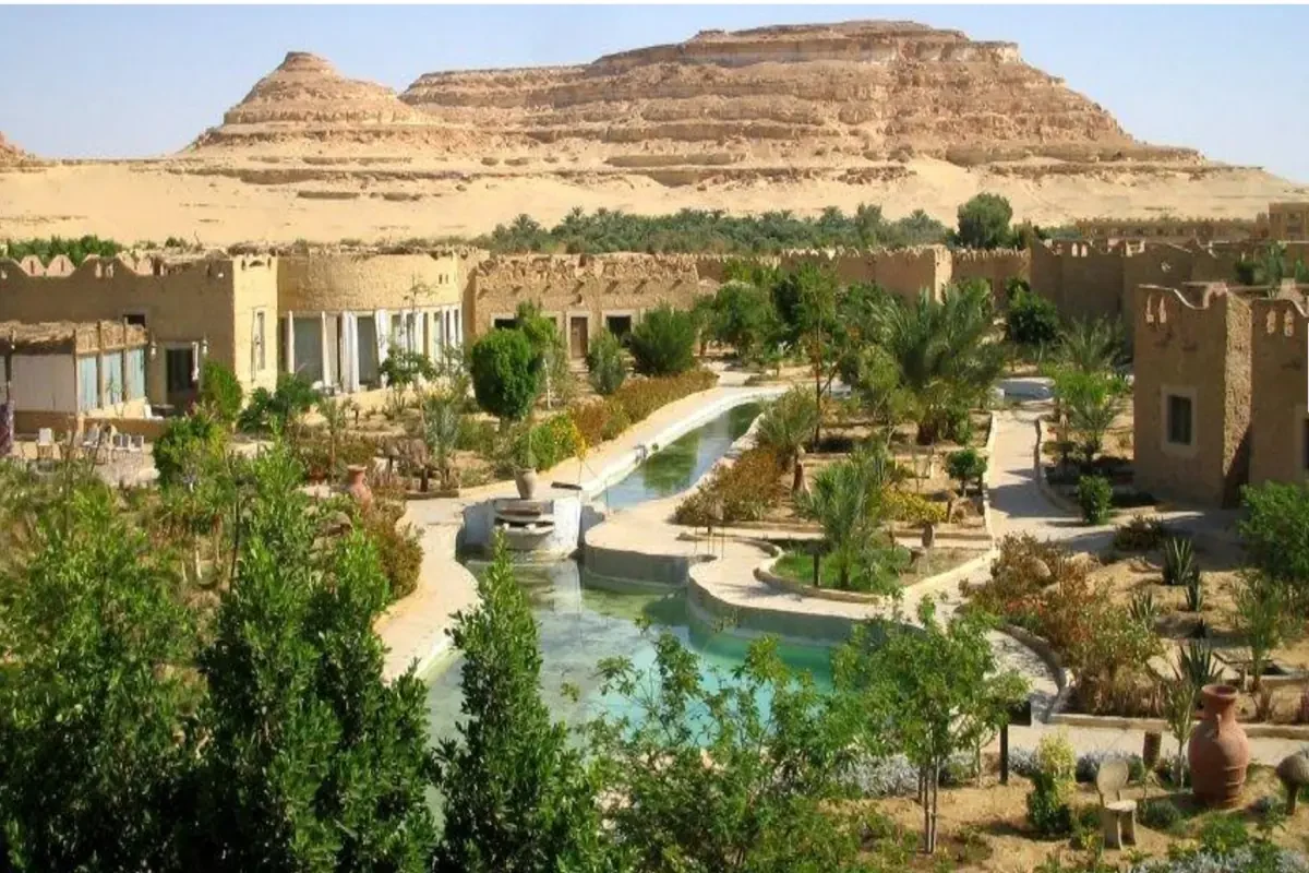 5 Tage private Reise zur Siwa-Oase und nach El Alamein ab Kairo