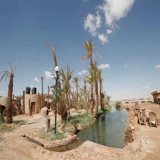 5 Tage private Reise zur Siwa-Oase und nach El Alamein ab Kairo