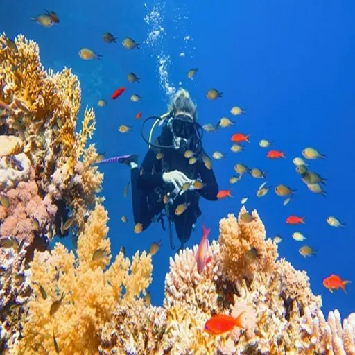 7 Tage Kairo, Nilkreuzfahrt & Hurghada – private Expeditionsreise
