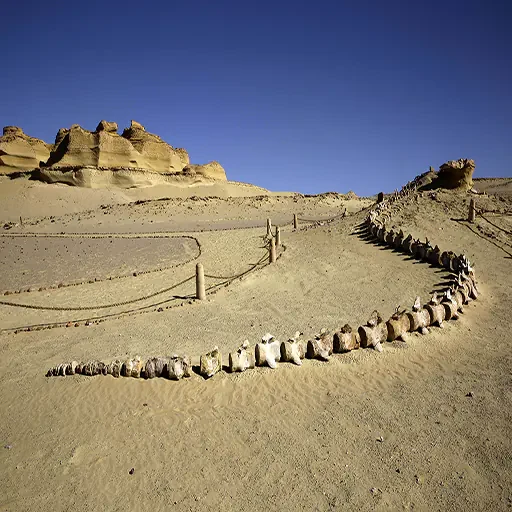 Private Tour von Kairo zu den Klöstern im Wadi El Natrun