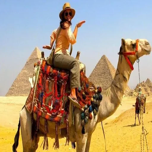 Privater Tagesausflug von Luxor zum Großen Ägyptischen Museum & zu den Pyramiden von Gizeh – per Flug