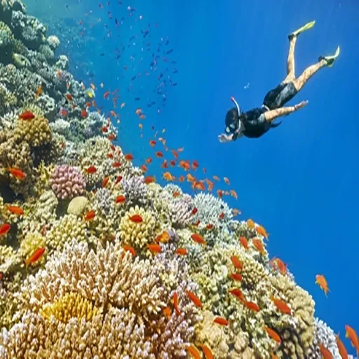 14 Tage Weihnachtsurlaub in Ägypten – Nilkreuzfahrt & Rotes Meer