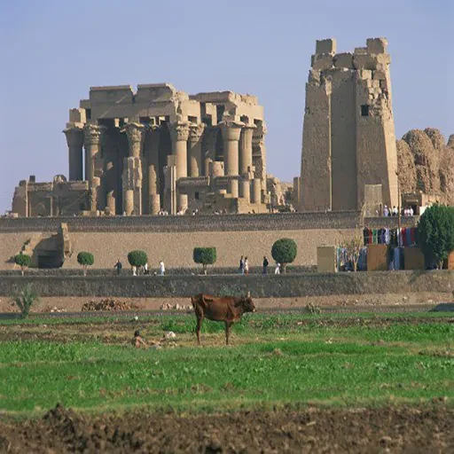 Private Tagestour zu den Tempeln von Kom Ombo und Edfu