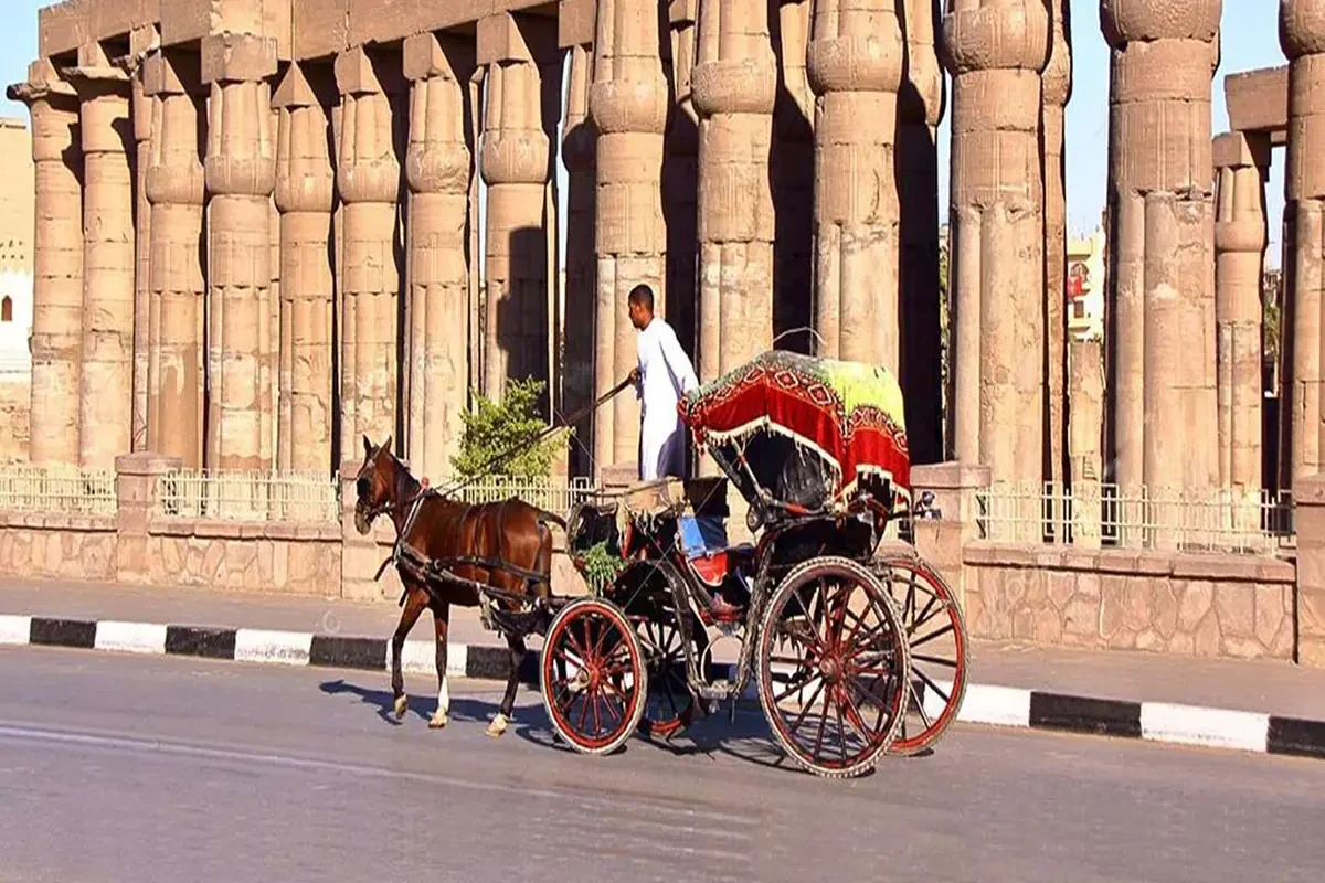 Romantische Stadtrundfahrt durch Luxor mit der Pferdekutsche