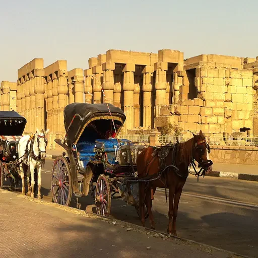 Romantische Stadtrundfahrt durch Luxor mit der Pferdekutsche