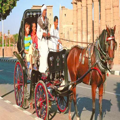 Romantische Stadtrundfahrt durch Luxor mit der Pferdekutsche