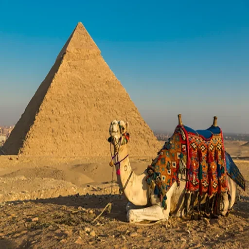 7 Tage Silvesterurlaub in Ägypten – Kairo, Pyramiden & Sharm El-Sheikh