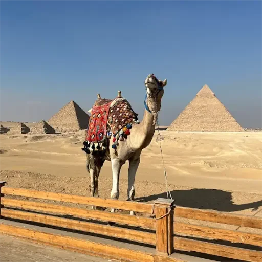 Privater Landausflug ab Port Said zu den Pyramiden – Gizeh & Saqqara