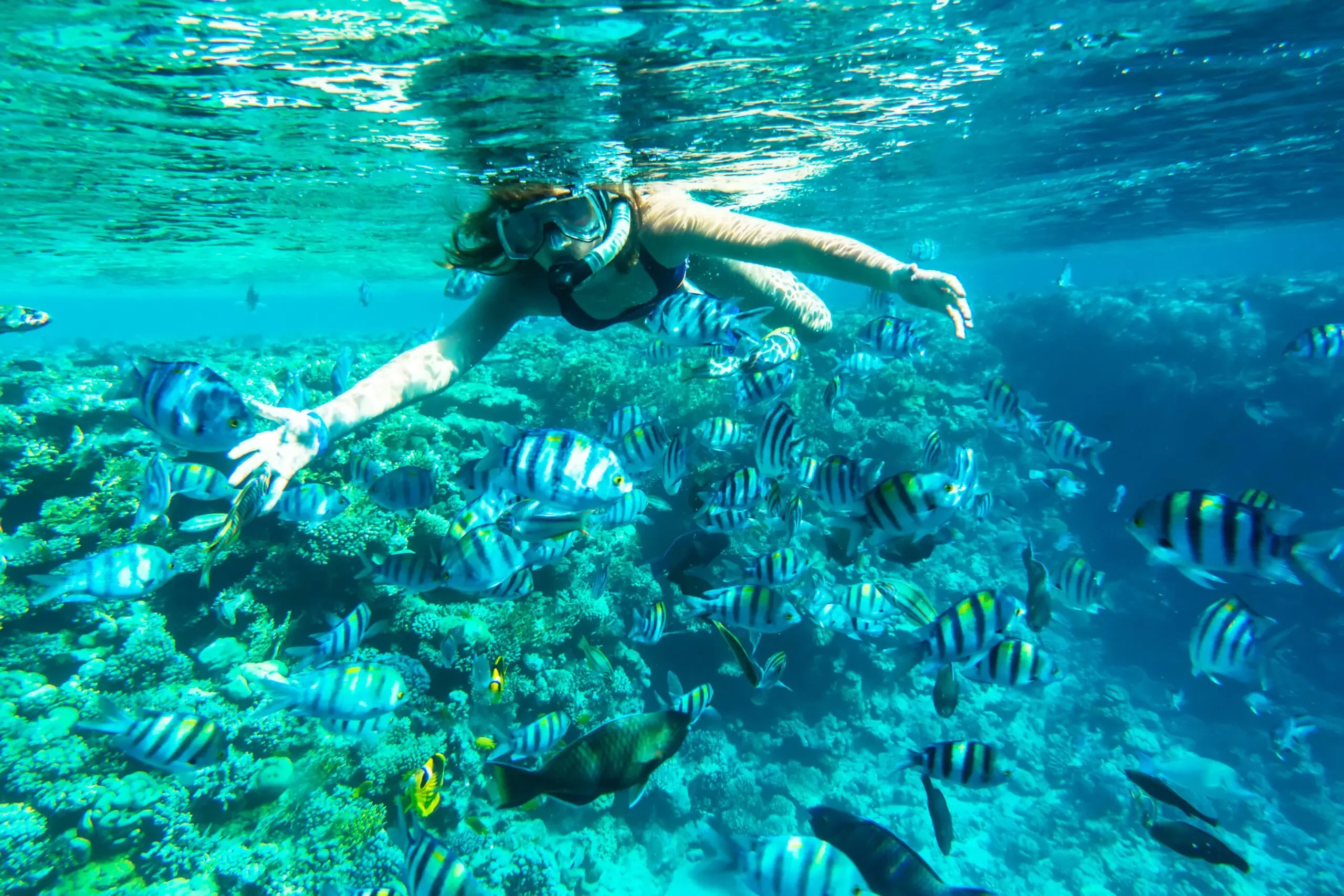 Mahmya-Insel – nachhaltige Schnorchel- und Strandtour ab Hurghada