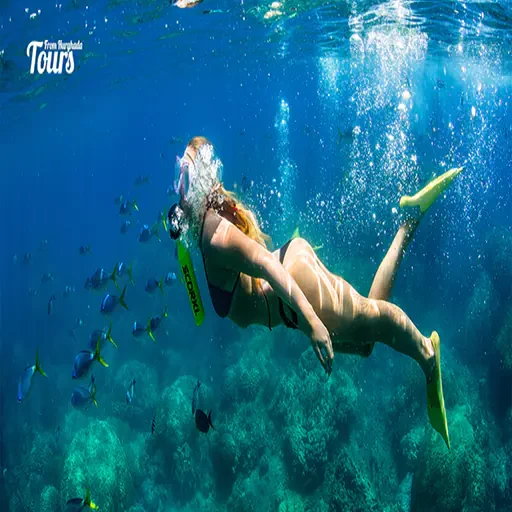 Mahmya-Insel – nachhaltige Schnorchel- und Strandtour ab Hurghada