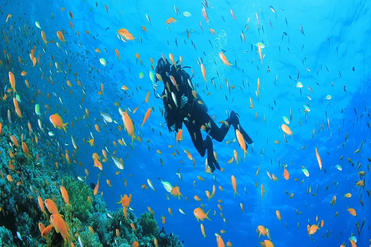 Private Schnorcheltour ab Marsa Alam nach Port Ghalib