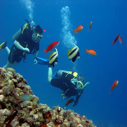 Private Schnorcheltour ab Marsa Alam nach Port Ghalib