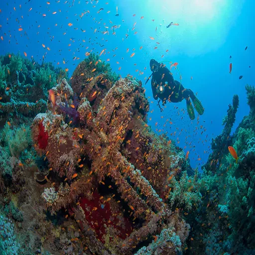 Private Schnorcheltour ab Marsa Alam nach Port Ghalib