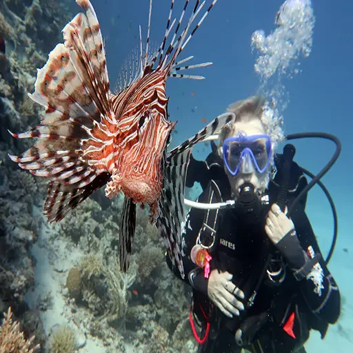 Private Schnorcheltour ab Marsa Alam nach Port Ghalib