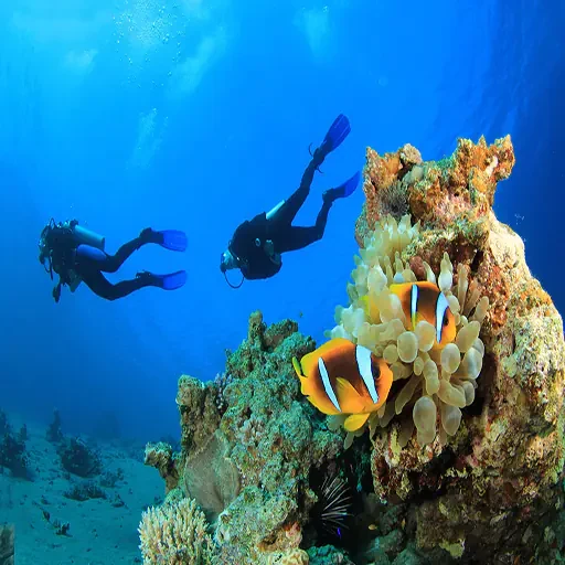 Private Schnorcheltour ab Marsa Alam nach Port Ghalib