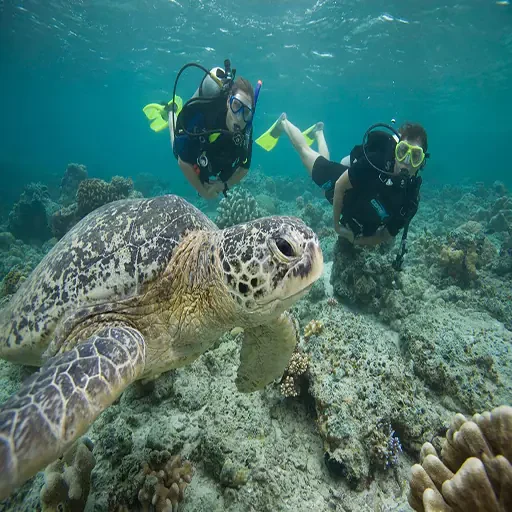 Private Schnorcheltour ab Marsa Alam nach Port Ghalib