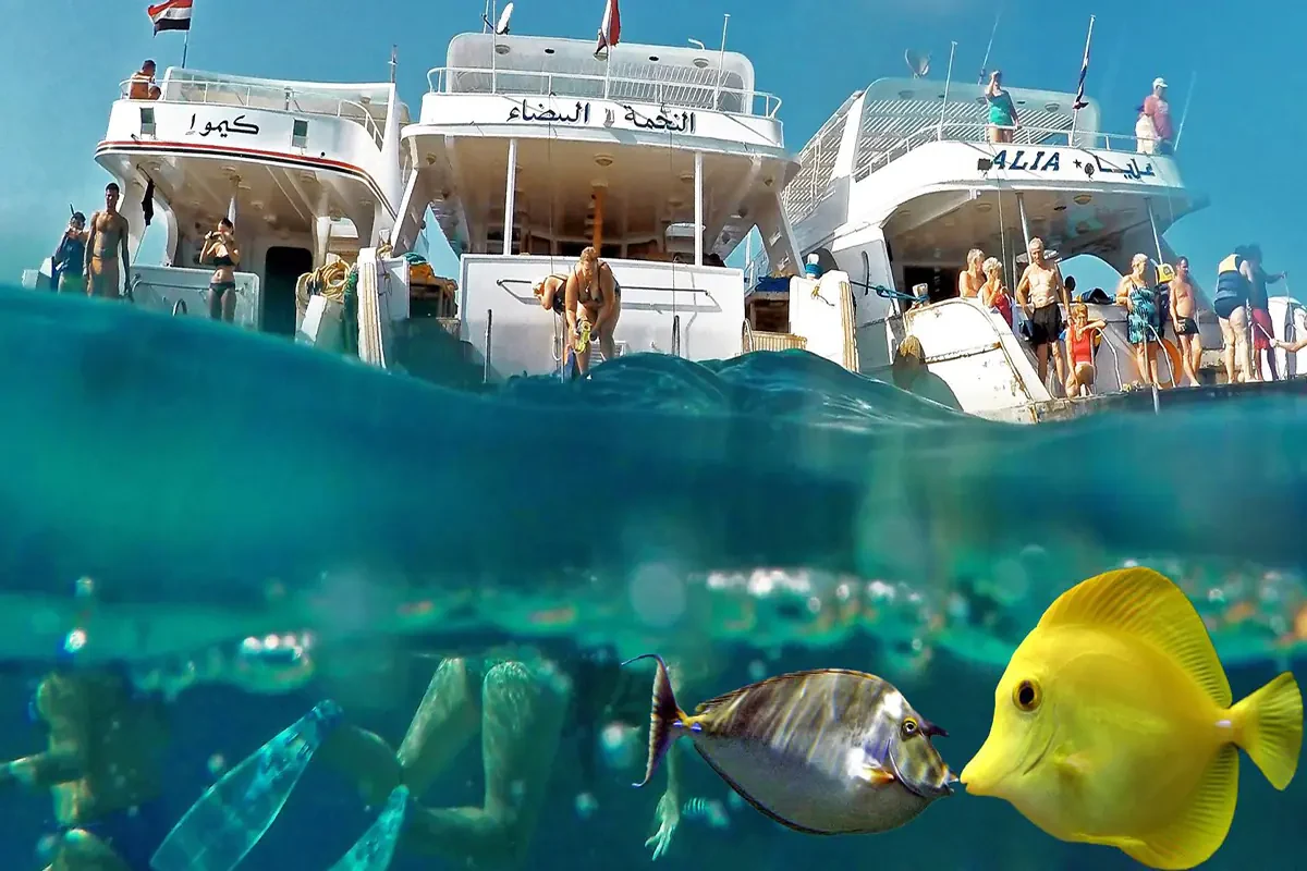 Giftun-Insel – Schnorcheltour & Strandtag ab Hurghada