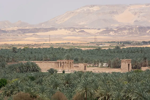 8 Tage Kairo und Oasen – Ägypten-Rundreise | Bastet Travel