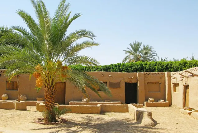 8 Tage Kairo und Oasen – Ägypten-Rundreise | Bastet Travel