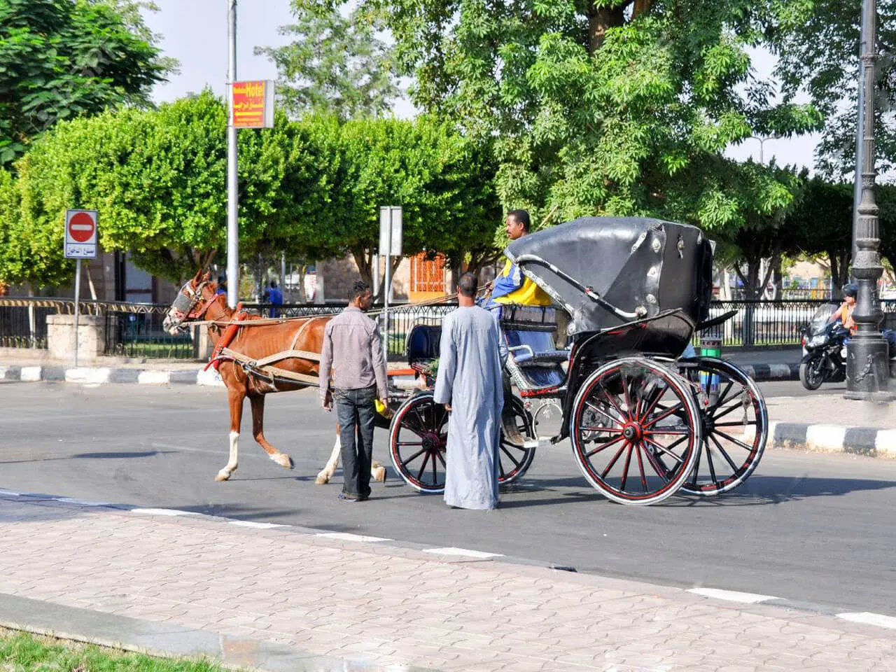 Authentische Stadtrundfahrt durch Assuan mit der Pferdekutsche