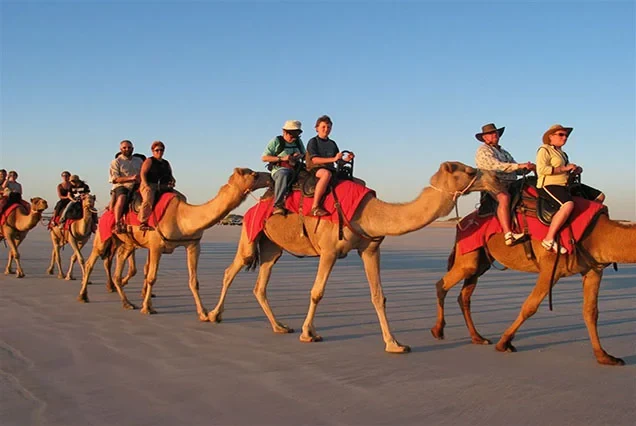 Privater Kamelritt am Westufer von Luxor