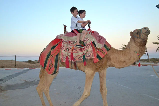 Privater Kamelritt am Westufer von Luxor
