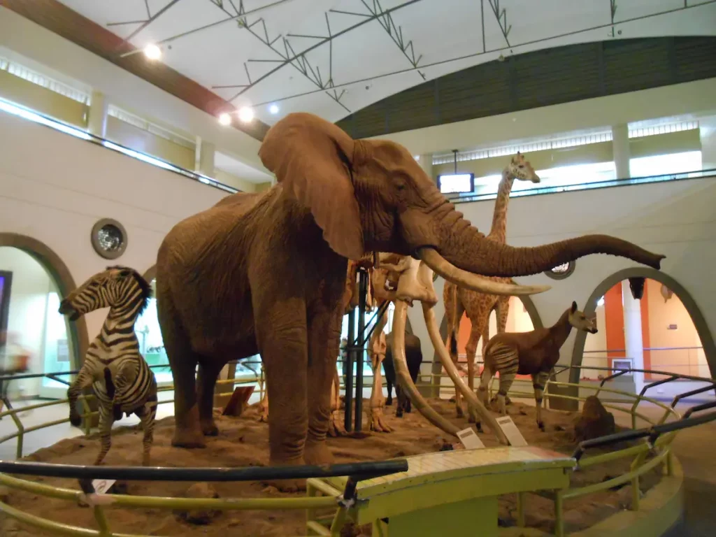 Koptisches Kairo, Nationalmuseum & Zitadelle – Tagestour