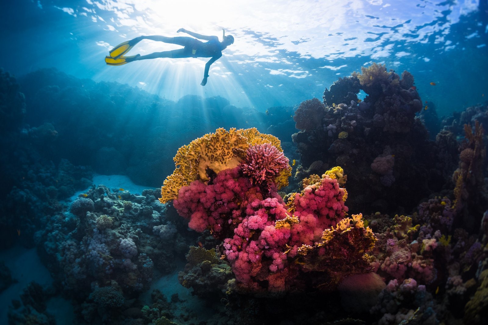 Hurghada Touren und Ausflüge